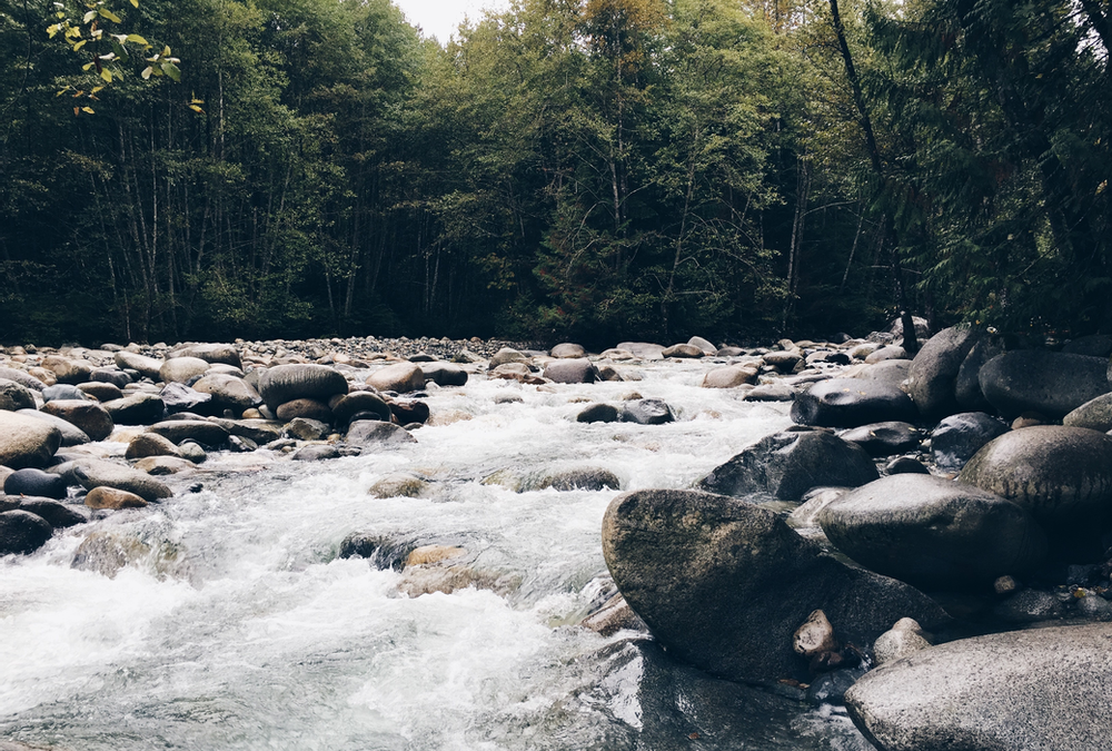 How To Go With The Flow When The Flow Is A River Of Hot Steaming Shit