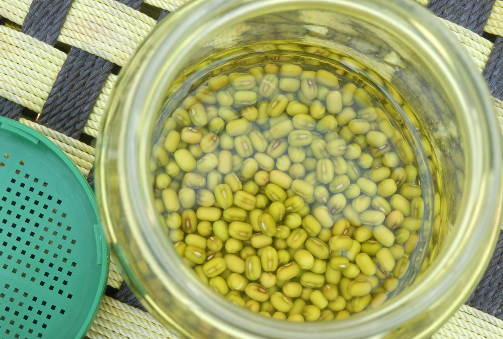 Vegan Co-Op Resident Forgot To Buy More Mung Bean