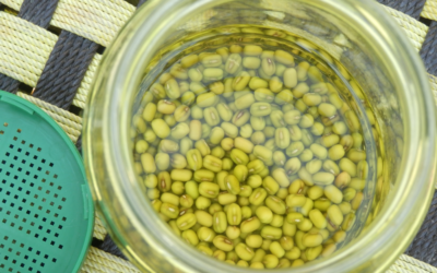 Vegan Co-Op Resident Forgot To Buy More Mung Bean