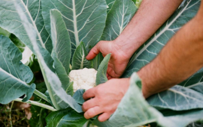 Friends of Vegan Wish He Would Choose Cancer Over Plant-Based Diet