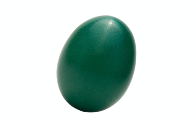 I Stuck This Jade Egg Up My Bussy And My Toxins Are Gone (I Think)